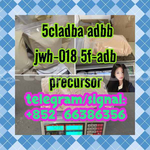 Big with watermark 13