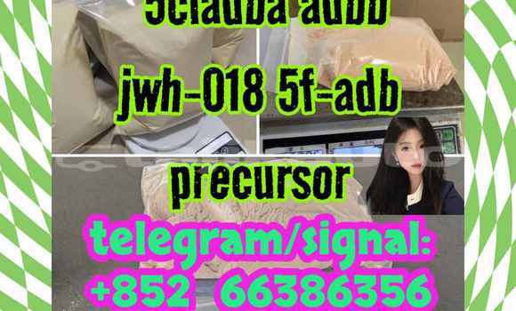 Medium with watermark 14