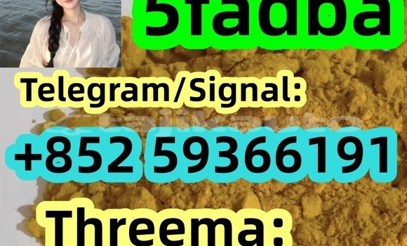 Buy Used Aermacchi Ala D\Oro Black Bike in Ayni in Sughd