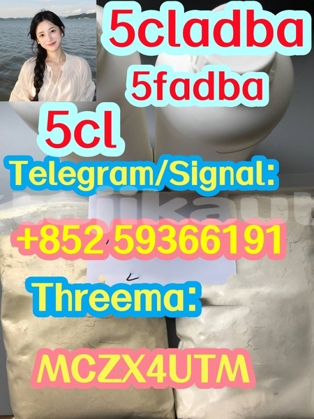 Big with watermark 24