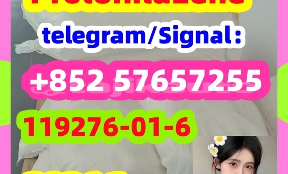 Medium with watermark 43