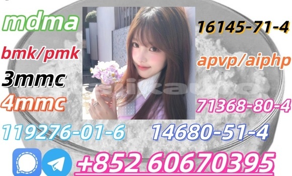 Buy Bmk and Pmk low price in Kumsangir in Khatlon Buy Bmk and Pmk low price in Kumsangir in Khatlon