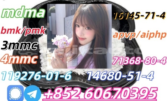 Buy Bmk and Pmk low price in Kumsangir in Khatlon Buy Bmk and Pmk low price in Kumsangir in Khatlon