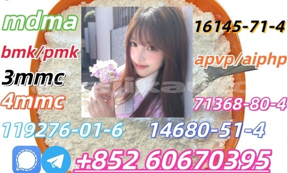 Buy Bmk and Pmk low price in Kumsangir in Khatlon Buy Bmk and Pmk low price in Kumsangir in Khatlon