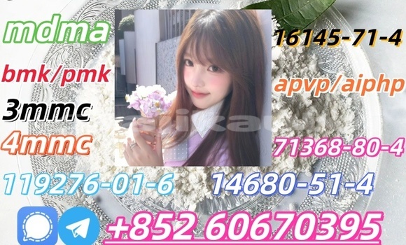 Buy CAS 119276-01-6 in Matcha in Sughd Buy CAS 119276-01-6 in Matcha in Sughd