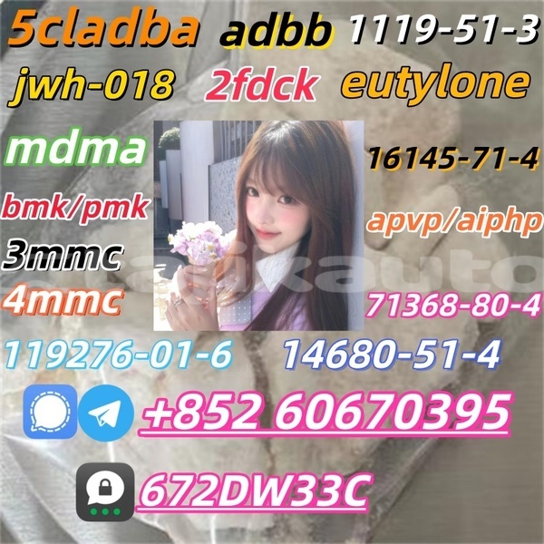 Big with watermark cas 14530 33 7 3