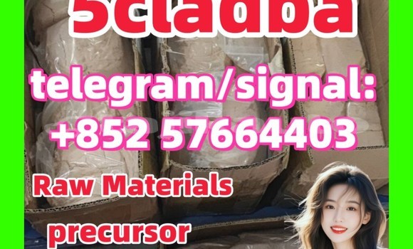 Medium with watermark 51