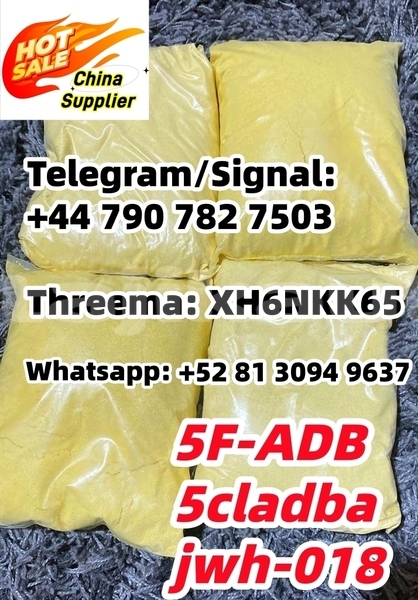 Big with watermark 1754049349989 %e5%89%af%e6%9c%ac