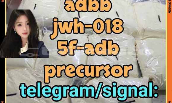 Medium with watermark 1