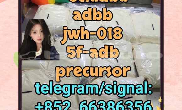 Medium with watermark 2