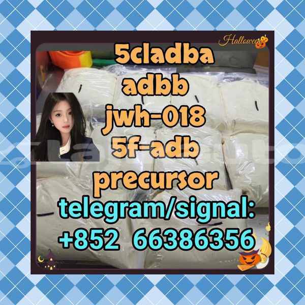 Big with watermark 4