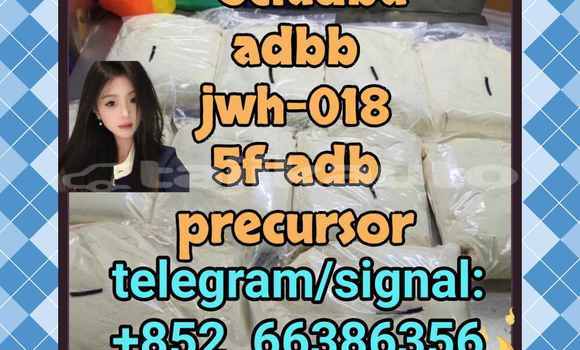 Medium with watermark 4