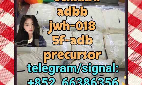 Medium with watermark 5