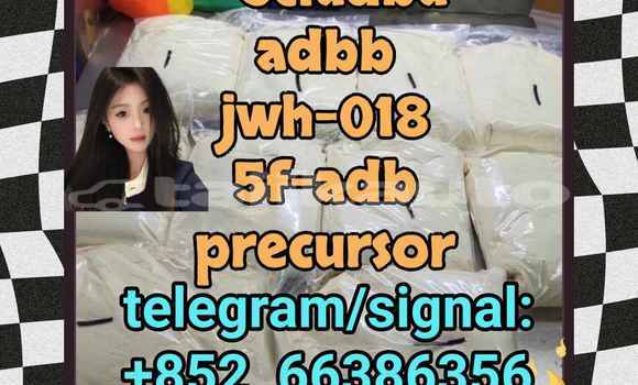 Medium with watermark 6