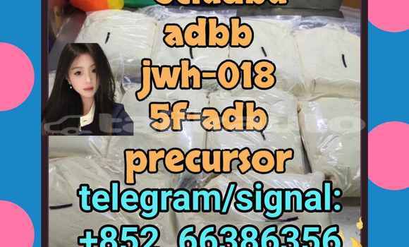 Medium with watermark 7