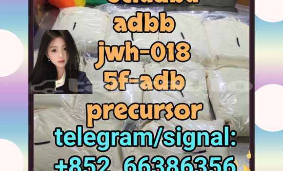 Medium with watermark 8