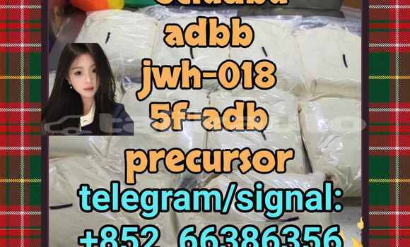 Medium with watermark 9