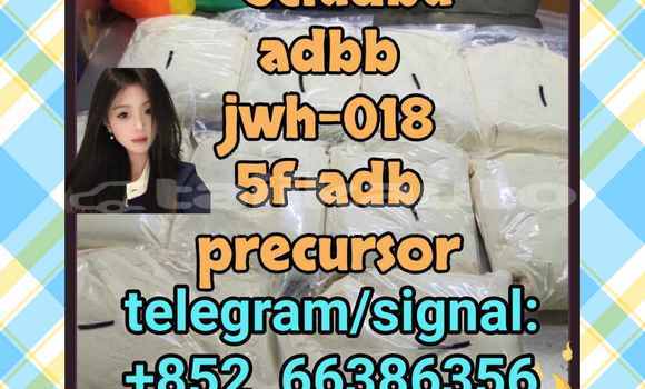 Medium with watermark 10