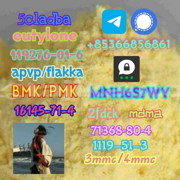 Big with watermark 1 221 