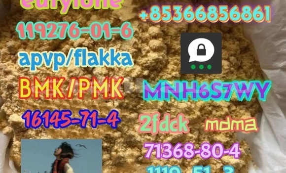 Medium with watermark 1 223 