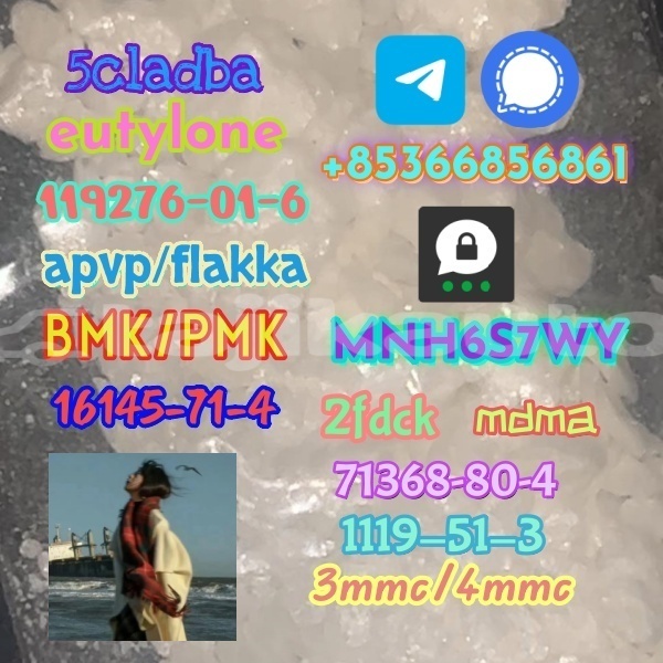 Big with watermark 1 224 