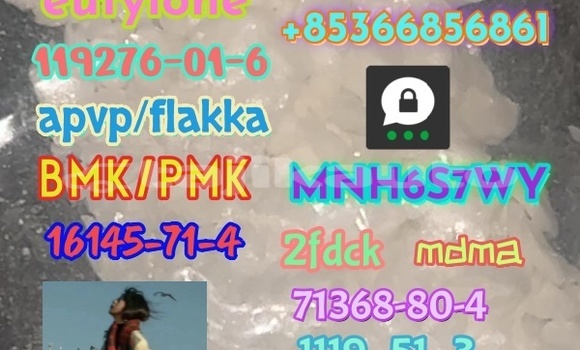 Medium with watermark 1 224 