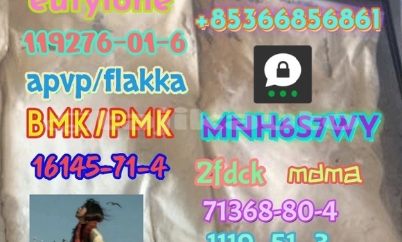 Medium with watermark 1 228 