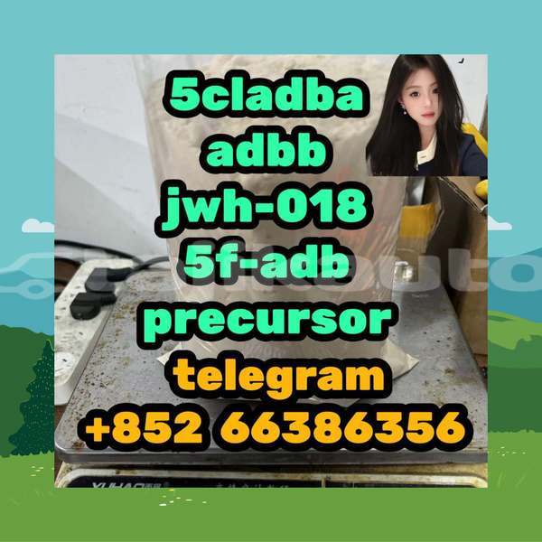 Big with watermark 7