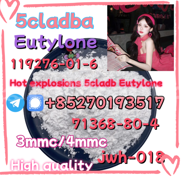 Big with watermark 4 3 