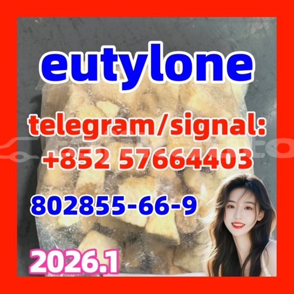 Big with watermark e2