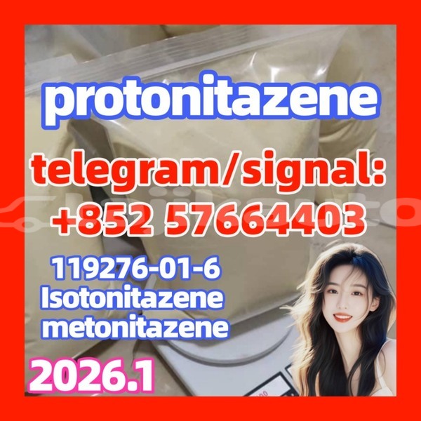 Big with watermark p7