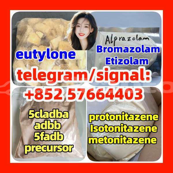 Big with watermark z2