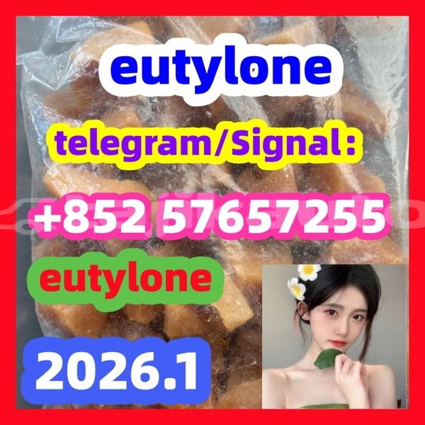 Big with watermark 50