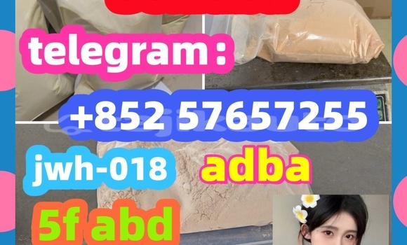 Medium with watermark 26