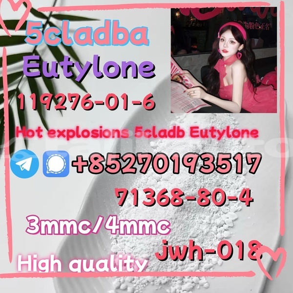 Big with watermark aaa1 12