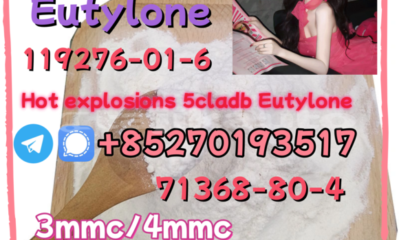 Medium with watermark 17