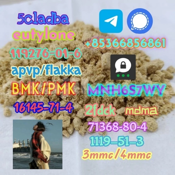 Big with watermark 1 311 