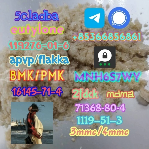 Big with watermark 1 312 