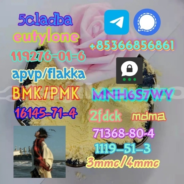 Big with watermark 1 313 