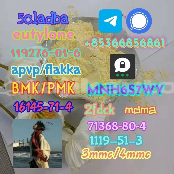 Big with watermark 1 314 