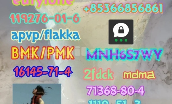 Medium with watermark 1 316