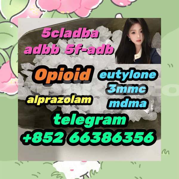 Big with watermark 2