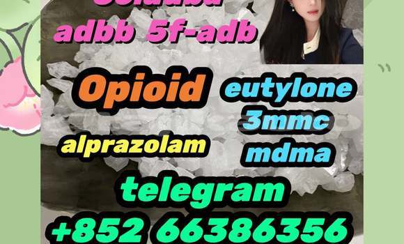 Medium with watermark 2