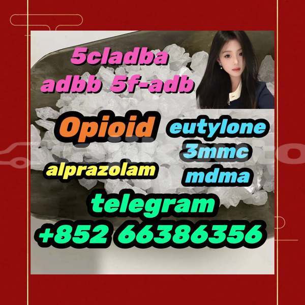 Big with watermark 4