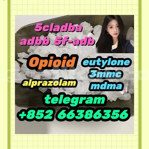 Big with watermark 6