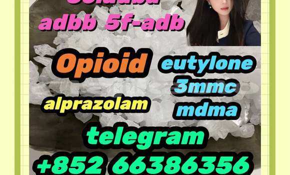 Medium with watermark 6