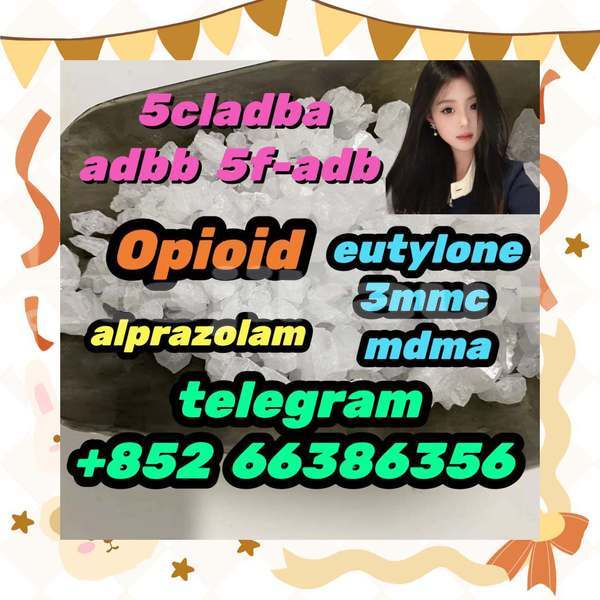 Big with watermark 8