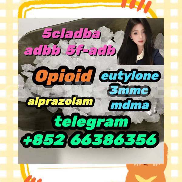 Big with watermark 11