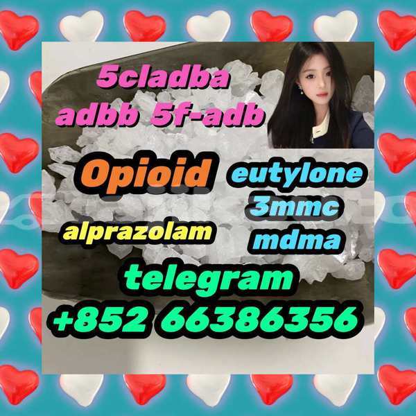 Big with watermark 13