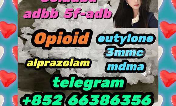 Medium with watermark 13